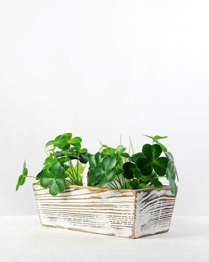 12cm Clover Artificial Plant  in Wood Planter 1 12cm Clover Artificial Plant  in Wood Planter