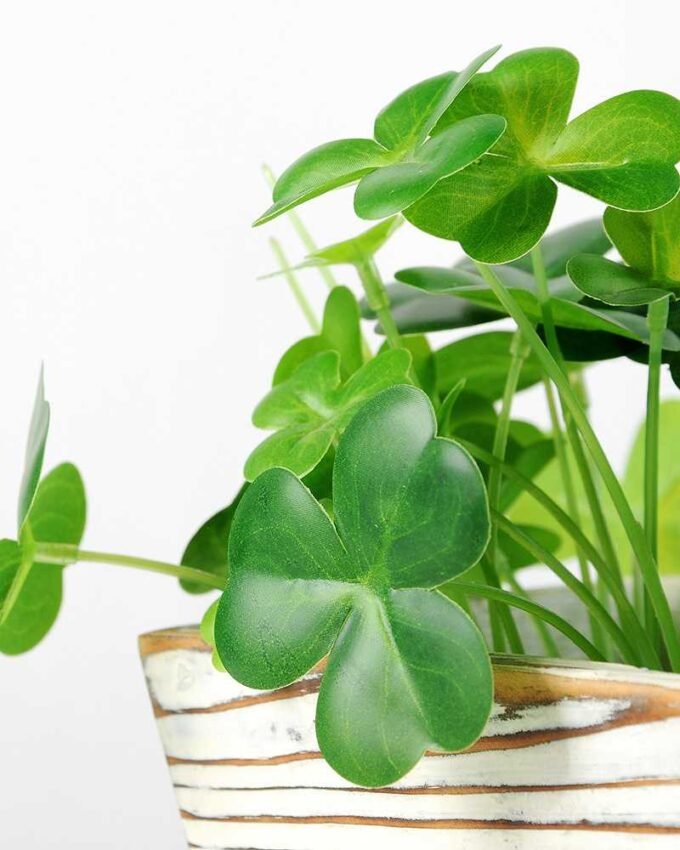 12cm Clover Artificial Plant  in Wood Planter 3 12cm Clover Artificial Plant  in Wood Planter