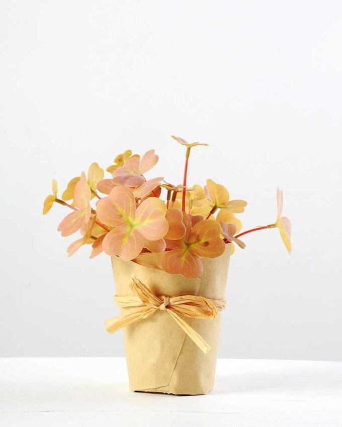 18cm Clover Artificial Plant  in Paper wrap pot