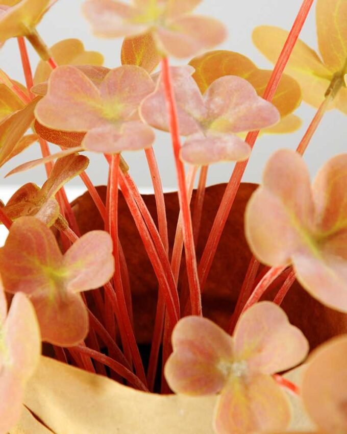 18cm Clover Artificial Plant  in Paper wrap pot