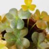 16cm Clover Artificial Plant  in Burlap wrap 2 16cm Clover Artificial Plant  in Burlap wrap