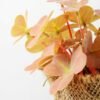16cm Clover Artificial Plant  in Burlap wrap 5 16cm Clover Artificial Plant  in Burlap wrap