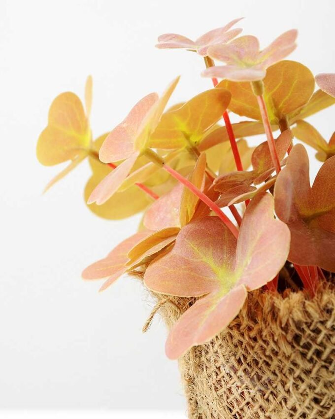 16cm Clover Artificial Plant  in Burlap wrap 5 16cm Clover Artificial Plant  in Burlap wrap