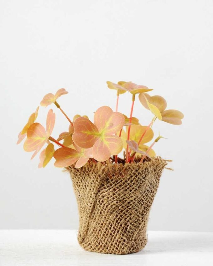 14cm Clover Artificial Plant  in Burlap wrap 5 14cm Clover Artificial Plant  in Burlap wrap