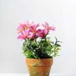 20cm Coreopsis Silk Flower  in Paper Pulp pot