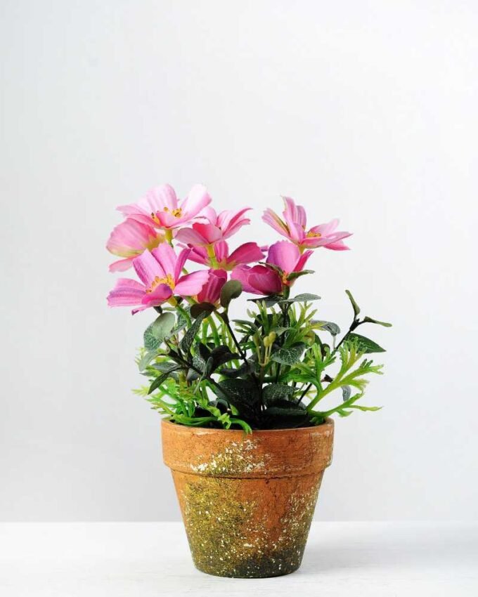 20cm Coreopsis Silk Flower  in Paper Pulp pot