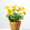 20cm Coreopsis Silk Flower  in Paper Pulp pot