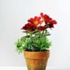 20cm Coreopsis Silk Flower  in Paper Pulp pot