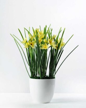 27cm Daffodil Silk Flower  in Plastic pot Potted Flowers&Plants YeahFlower is one of Chinese leading OEM manufacturers and exporters , supplying the silk flowers, wholesale artificial trees 27cm Daffodil Silk Flower  in Plastic pot