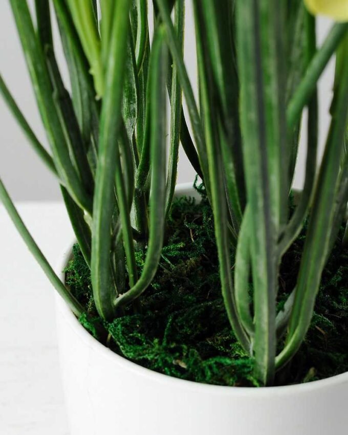 27cm Daffodil Silk Flower  in Plastic pot 3 27cm Daffodil Silk Flower  in Plastic pot