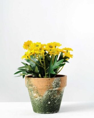 14cm Daisy Silk Flower  in Paper Pulp pot Potted Flowers&Plants YeahFlower is one of Chinese leading OEM manufacturers and exporters , supplying the silk flowers, wholesale artificial trees 14cm Daisy Silk Flower  in Paper Pulp pot