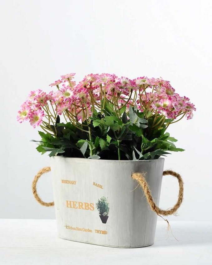 22cm Daisy Silk Flower  in Wooden pot