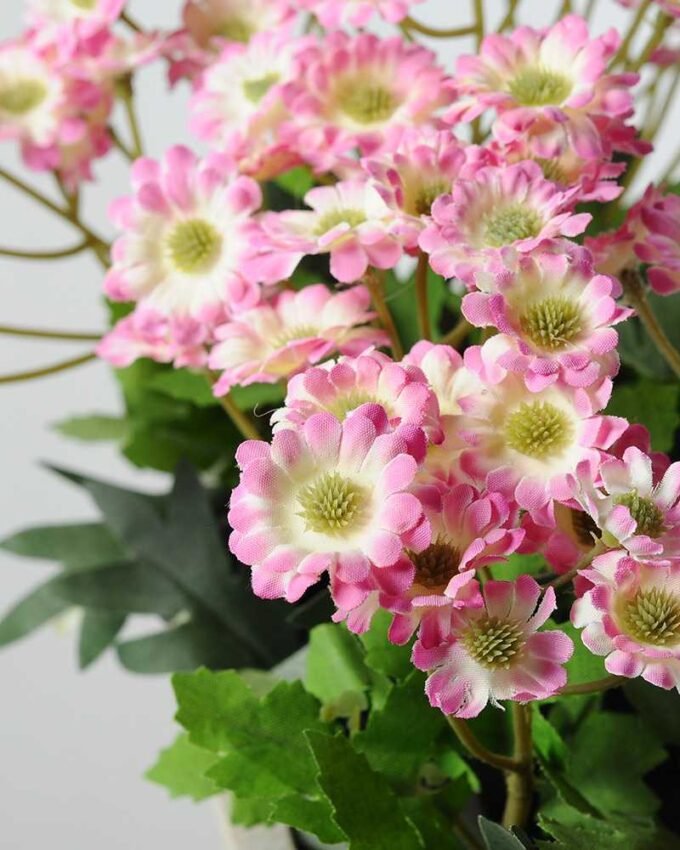 22cm Daisy Silk Flower  in Wooden pot