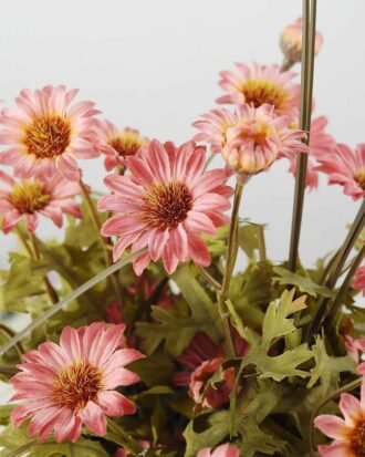 22cm Daisy With Wood Planter Silk Flower Arrangement Potted Flowers&Plants YeahFlower is one of Chinese leading OEM manufacturers and exporters , supplying the silk flowers, wholesale artificial trees 22cm Daisy With Wood Planter Silk Flower Arrangement