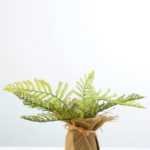 15cm Davallia Artificial Plant  in Burlap wrap