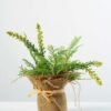 24cm Davallia Silk Flower  in Burlap wrap 1 24cm Davallia Silk Flower  in Burlap wrap