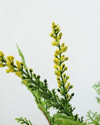 24cm Davallia Silk Flower  in Burlap wrap Potted Flowers&Plants YeahFlower is one of Chinese leading OEM manufacturers and exporters , supplying the silk flowers, wholesale artificial trees 24cm Davallia Silk Flower  in Burlap wrap