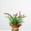 24cm Davallia Silk Flower  in Burlap wrap 6 24cm Davallia Silk Flower  in Burlap wrap