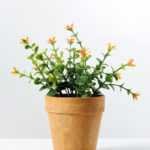 15cm Eucalyptus Silk Flower  in Paper Pulp pot