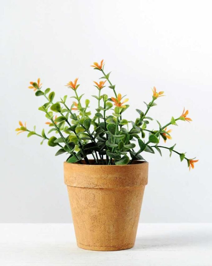 15cm Eucalyptus Silk Flower in Paper Pulp pot 1 15cm Eucalyptus Silk Flower in Paper Pulp pot