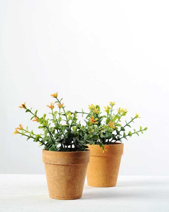 15cm Eucalyptus Silk Flower in Paper Pulp pot 3 15cm Eucalyptus Silk Flower in Paper Pulp pot