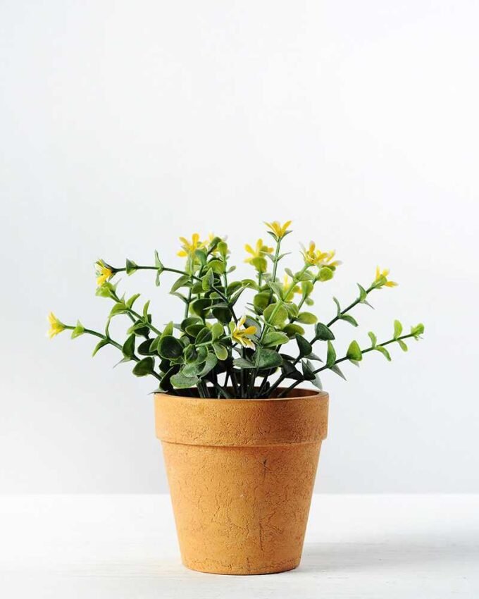 15cm Eucalyptus Silk Flower in Paper Pulp pot 5 15cm Eucalyptus Silk Flower in Paper Pulp pot