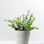Creative Displays Eucalyptus Silk Flower  in Paper Pulp pot