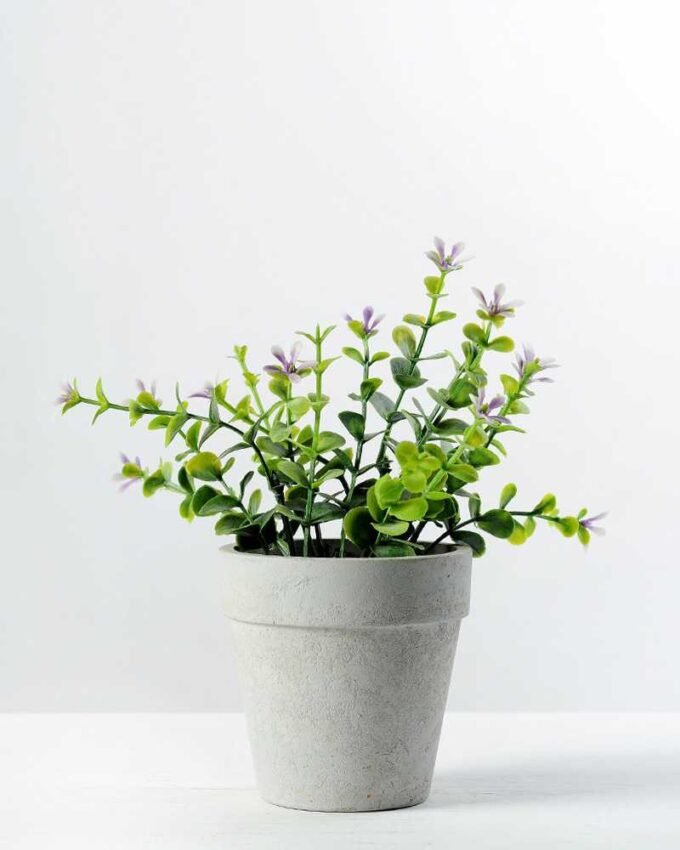 Creative Displays Eucalyptus Silk Flower  in Paper Pulp pot