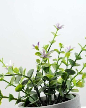 Creative Displays Eucalyptus Silk Flower  in Paper Pulp pot