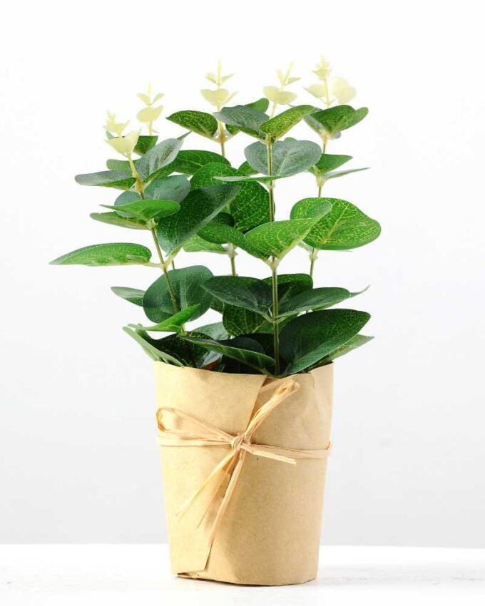 24cm Eucalyptus Artificial Plant  in Paper wrap pot