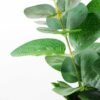24cm Eucalyptus Artificial Plant  in Paper wrap pot