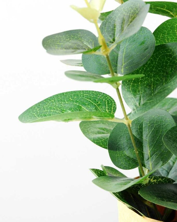 24cm Eucalyptus Artificial Plant  in Paper wrap pot