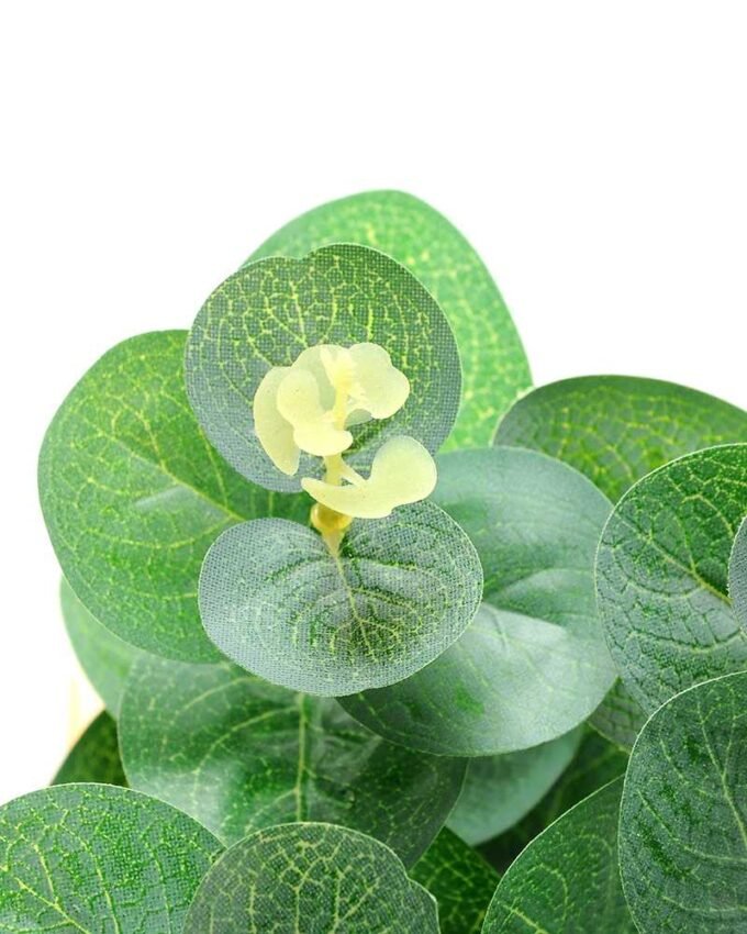 24cm Eucalyptus Artificial Plant  in Paper wrap pot