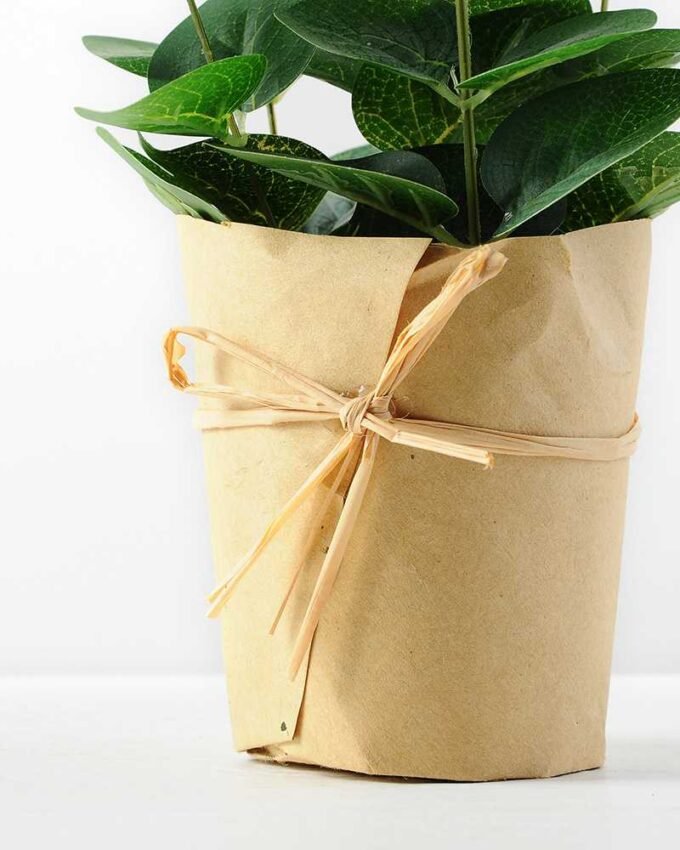 24cm Eucalyptus Artificial Plant  in Paper wrap pot