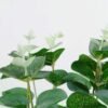 30cm Eucalyptus Artificial Plant  in Paper Pulp pot