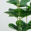 30cm Eucalyptus Artificial Plant  in Paper Pulp pot