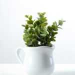 15cm Eucalyptus Artificial Plant  in Ceramic pot