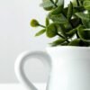 15cm Eucalyptus Artificial Plant  in Ceramic pot 4 15cm Eucalyptus Artificial Plant  in Ceramic pot
