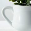 15cm Eucalyptus Artificial Plant  in Ceramic pot 5 15cm Eucalyptus Artificial Plant  in Ceramic pot