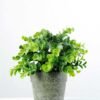 22cm Eucalyptus Artificial Plant  in Paper Pulp pot