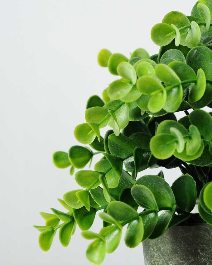 22cm Eucalyptus Artificial Plant  in Paper Pulp pot