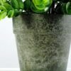 22cm Eucalyptus Artificial Plant  in Paper Pulp pot