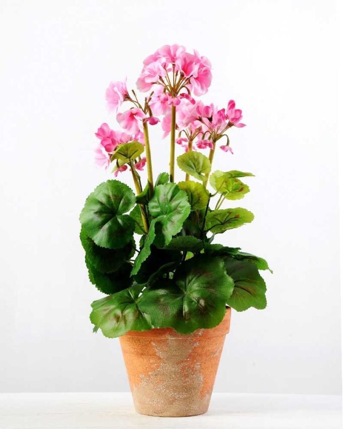 45cm Geranium Silk Flower  in Paper Pulp pot