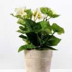 25cm Geranium Silk Flower  in Paper Pulp pot