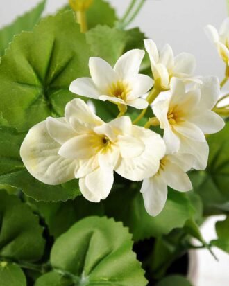 25cm Geranium Silk Flower  in Paper Pulp pot