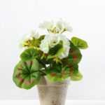 21cm Geranium Silk Flower  in Paper Pulp pot
