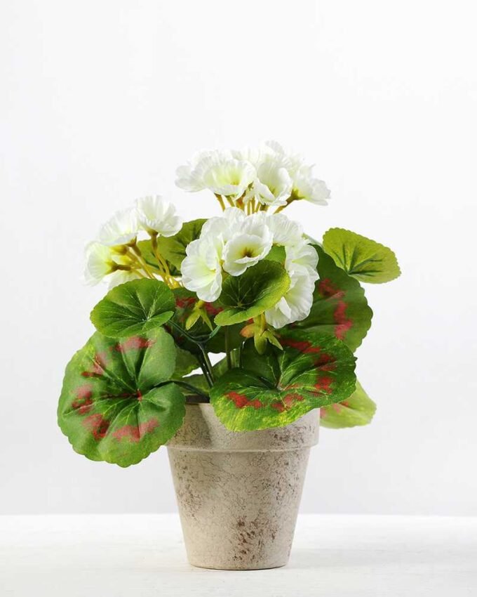 21cm Geranium Silk Flower  in Paper Pulp pot