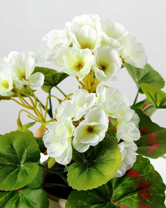 21cm Geranium Silk Flower  in Paper Pulp pot