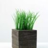 13cm Grass Artificial Plant in Wood pot 1 13cm Grass Artificial Plant in Wood pot