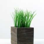 13cm Grass Artificial Plant  in Wood pot